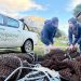 AquaChile y Municipalidad de Coyhaique concretan iniciativa de manejo de residuos domiciliarios.