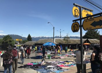 Este sábado habrá jornada de vacunación en Feria las Quintas de Coyhaique.