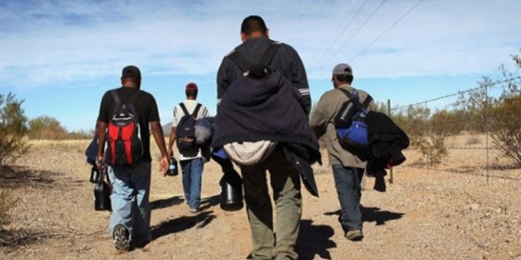 Consejo para la Transparencia pidió al Servicio Nacional de Migraciones transparentar cifra de extranjeros que ingresaron al país desde 2020.