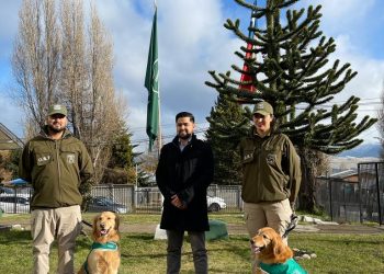 Balance del primer semestre de carabineros del OS-7 Aysén arroja a 77 personas detenidas y más de 175 millones de pesos en droga decomisada.