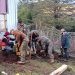Carabineros de Puerto Aysén presta apoyo en traslado de materiales de construcción en beneficio de adultos mayores en sector Valle Pangal.