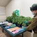 OS-7 y Fiscalía logran detención y formalización de dos personas por tráfico y cultivo ilegal de cannabis y sacan de circulación droga avaluada en más de 60 millones de pesos.