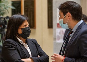 Diputados por Aysén piden concretar ayuda económica a campesinos ante grave crisis que afecta al sector.