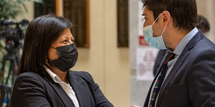 Diputados por Aysén piden concretar ayuda económica a campesinos ante grave crisis que afecta al sector.