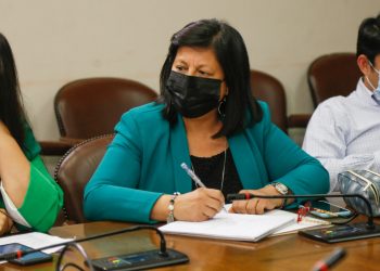 Diputada Marcia Raphael insiste en suspender el impuesto específico a los combustibles y también al IVA en los productos de la canasta básica.