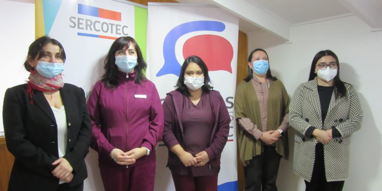 Abierta convocatoria de Capital Abeja de Sercotec enfocada en el impulso de emprendimientos femeninos