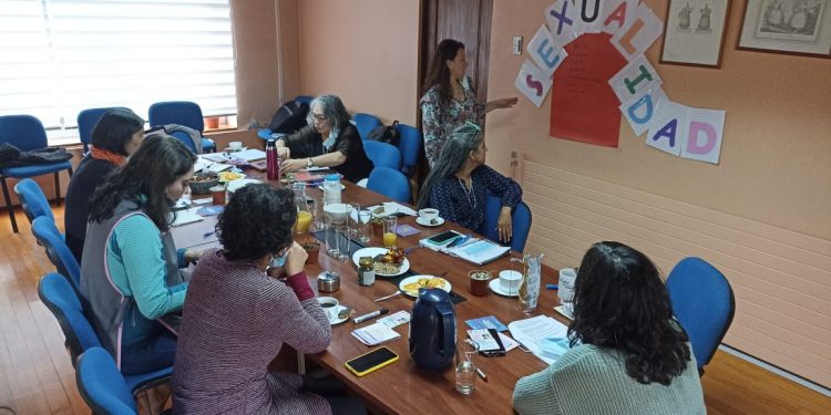 Equipos ejecutores de los programas de SernamEG adquieren conocimientos sobre sexualidad y maternidad