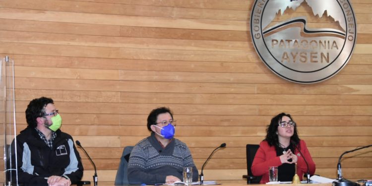 Gobernadora de Aysén presidió Comité Regional de Cambio Climático