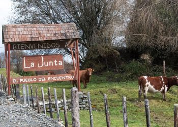 Fuente: https://www.australgardenroute.com/post/la-junta-es - © 2018 Paul Coleman