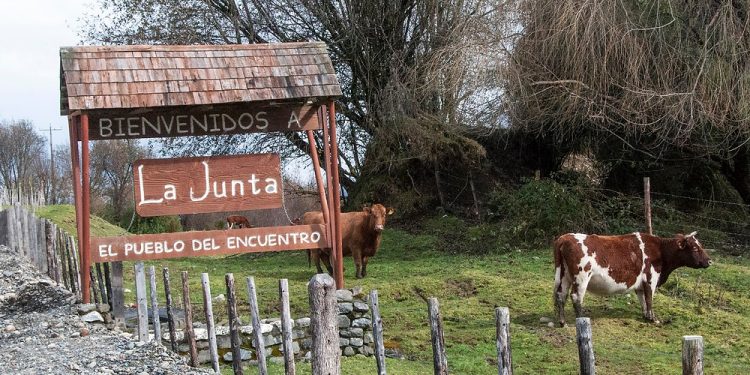 Fuente: https://www.australgardenroute.com/post/la-junta-es - © 2018 Paul Coleman