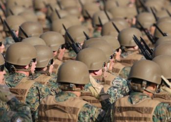 Caso FAM: Corte de Apelaciones de Coyhaique rechaza recurso de amparo preventivo de militares en retiro