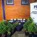 Moluscos en veda y cannabis sativa son incautados por PDI y Fiscalía en la ciudad de Puerto Aysén