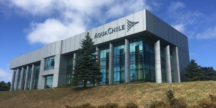 AquaChile logra que sobre el 99% de las patentes municipales que paga se queden en las comunas donde opera