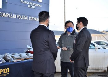 PDI saca de circulación más de 12 kilos de cannabis sativa de la región de Aysén