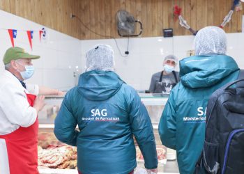 Servicio Agrícola y Ganadero fiscaliza para garantizar sanidad y buen estado de productos para estas Fiestas Patrias