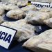54 kilos de Loco, recurso en veda, son incautados por la BIDEMA de Policía de Investigaciones en Aysén