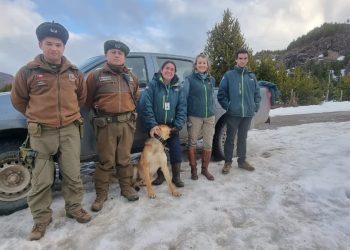Carabineros del Retén Lago Castor junto al SAG indagan maltrato animal en predio del sector Lago Pollux.