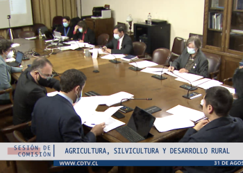 Tras votación en Comisión de Agricultura: Preocupan retrocesos en proyecto que crea el Servicio de Biodiversidad dejando fuera 300 sitios prioritarios de conservación