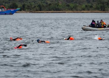 Natación en aguas heladas en el Fiordo Aysén.