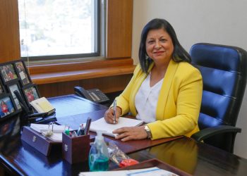 Registro Social de Hogares con enfoque regional pide la diputada por Aysén, Marcia Raphael
