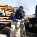 PDI y Fiscalía investigan denuncia por el delito maltrato animal en Coyhaique