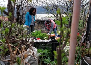 Realizan entrega de Invernaderos e implementos para 18 familias del programa Autoconsumo de Coyhaique 