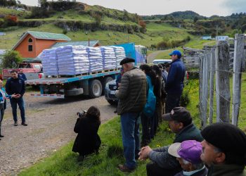 Minagri Aysén entrega concentrado y refuerza apoyo a pequeños agricultores de la región