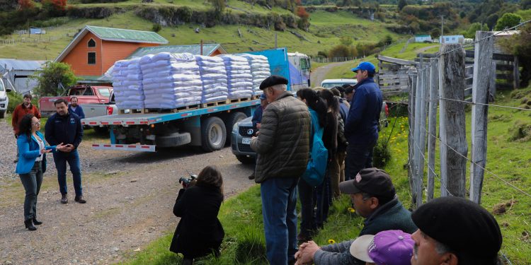 Minagri Aysén entrega concentrado y refuerza apoyo a pequeños agricultores de la región