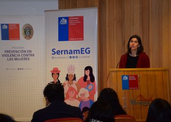SernamEG organiza actividades conmemorativas en Coyhaique y Puerto Aysén por Día Internacional de la Eliminación de la Violencia contra las Mujeres
