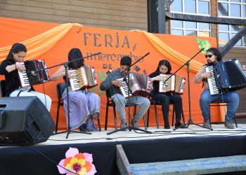 Cochrane reactiva sus espacios culturales con la “Feria de intercambios de saberes artísticos” 