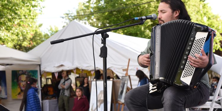 Convocatoria para la Gestión Cultural Local del programa Red Cultura logra beneficiar a tres comunas de la Región