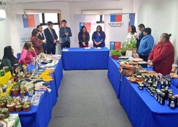 FOSIS y SERCOTEC firman convenio regional para vincular acciones de fomento a emprendimientos