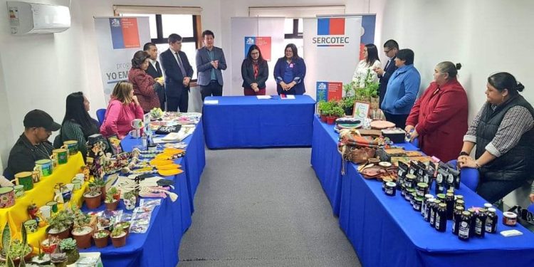 FOSIS y SERCOTEC firman convenio regional para vincular acciones de fomento a emprendimientos