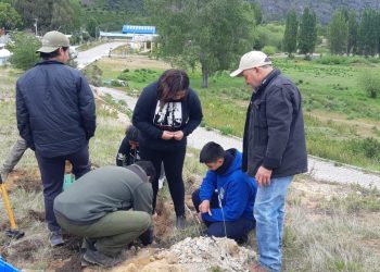 Proyecto de arborización en Puerto Guadal es ejecutado por CONAF