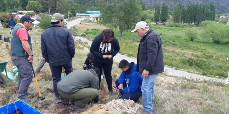 Proyecto de arborización en Puerto Guadal es ejecutado por CONAF