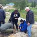 Proyecto de arborización en Puerto Guadal es ejecutado por CONAF