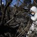 La investigación de los delitos medioambientales por parte de BIDEMA de la PDI en la región de Aysén