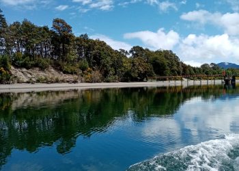 Proyecto busca unir el maritorio aisenino a través del turismo y la conservación