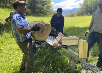 INFOR Patagonia trabaja con productores leñeros de Ibáñez en programa de transferencia tecnología 
