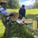 INFOR Patagonia trabaja con productores leñeros de Ibáñez en programa de transferencia tecnología