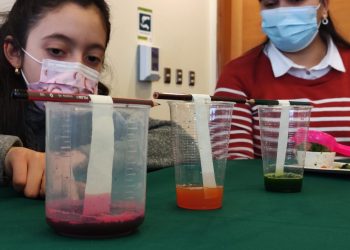 Estudiantes de enseñanza básica y media desarrollan innovadores proyectos científicos con foco en la región de Aysén