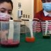 Estudiantes de enseñanza básica y media desarrollan innovadores proyectos científicos con foco en la región de Aysén