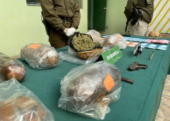 Carabineros junto a la Fiscalía desarticuló 5 organizaciones criminales, detuvo a 123 personas y sacó de circulación droga avaluada en 880 millones de pesos durante 2022