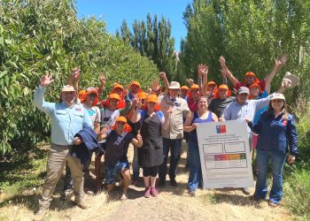 Instituto de Seguridad Laboral y Seremi Trabajo Aysén llegaron a Chile Chico para difundir campaña «Ultra Sol Ultra Protección» a trabajadores y empleados agrícolas
