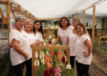 A $410 mil aumentó el aporte anual para participantes del Programa Mujeres Rurales INDAP-Prodemu