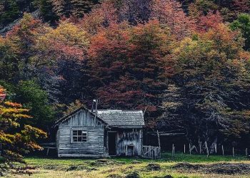 Gobierno y expectativas para este verano en Aysén: “Esperamos resultados similares a la temporada 2019”.