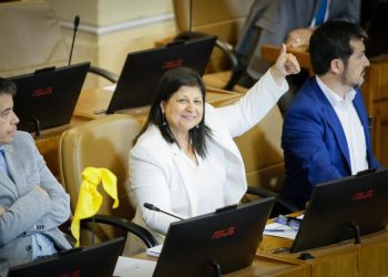 Se aprueba iniciativa de diputada Raphael sobre Permiso especial para acompañamiento de las madres durante el parto en el Congreso