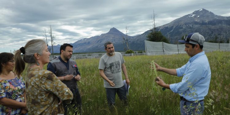Minagri Aysén destacó gestión productiva y asociativa rural en la comuna de O’Higgins