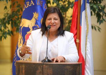 Diputada Raphael pide al Gobierno presentar agenda educacional frente a deserción escolar y problemas con el sistema de «tómbola»