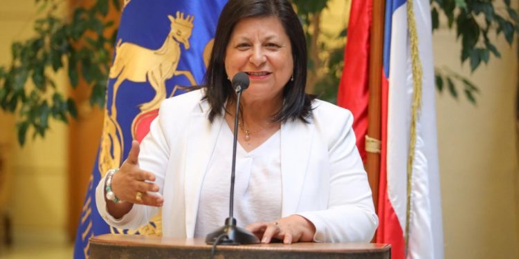 Diputada Raphael pide al Gobierno presentar agenda educacional frente a deserción escolar y problemas con el sistema de «tómbola»